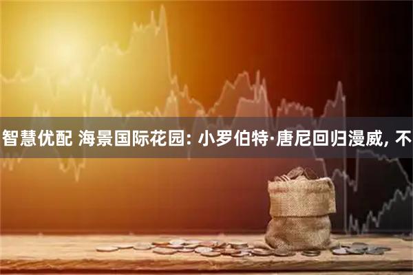 智慧优配 海景国际花园: 小罗伯特·唐尼回归漫威, 不